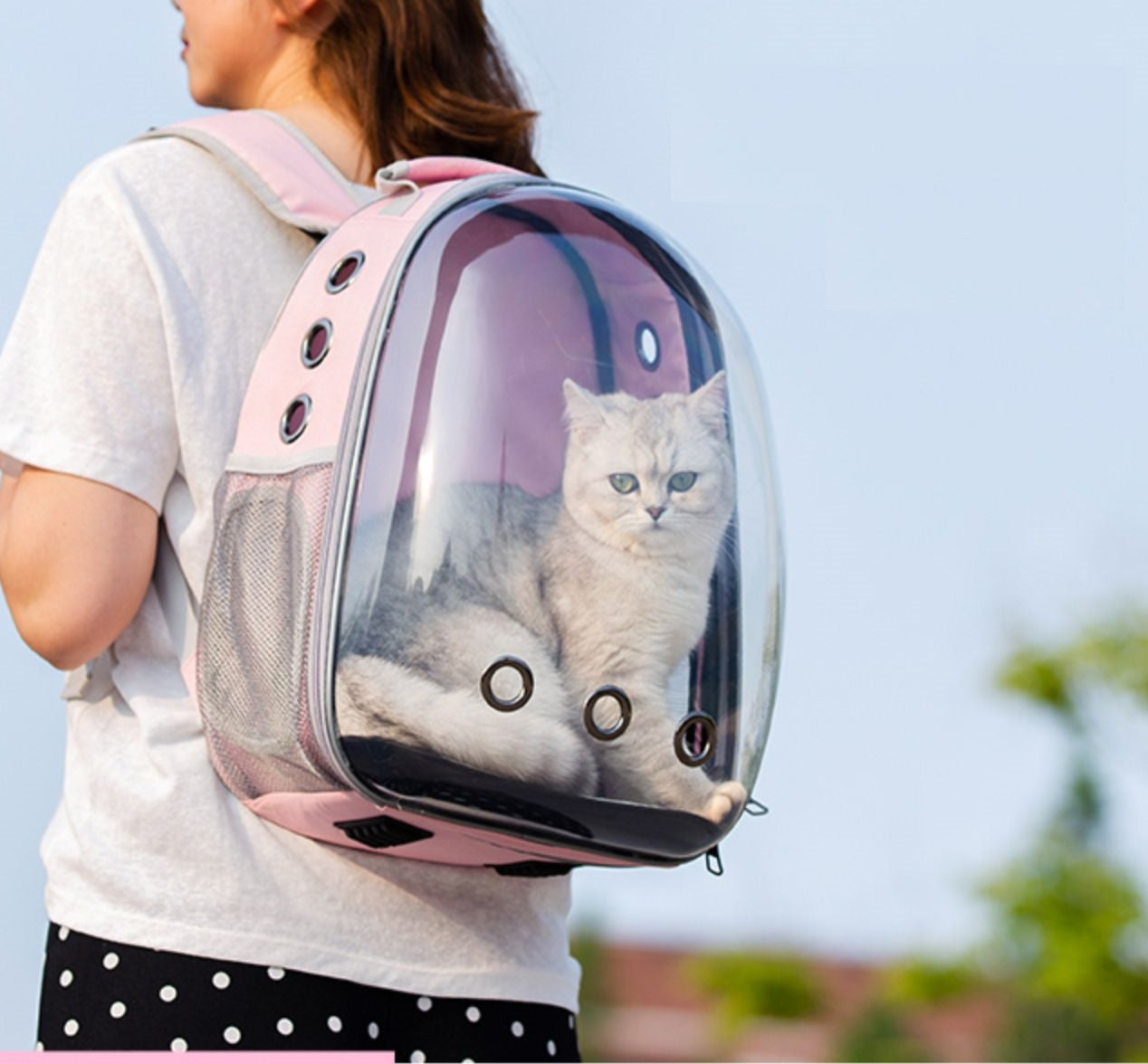 Green Cat & Dog bag was exposed pet bag dog out portable space capsule transparent backpack 4160