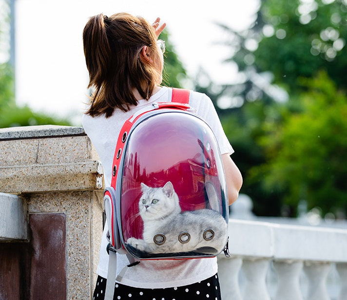 Pink Cat & Dog bag was exposed pet bag dog out portable space capsule transparent backpack 4160