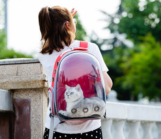 Explore the next generation of pet travel with our innovative black cat and dog bag – a portable space capsule backpack (Model 4160). Travel in style while keeping your pet comfortable and secure. Elevate your pet's outdoor experience today!