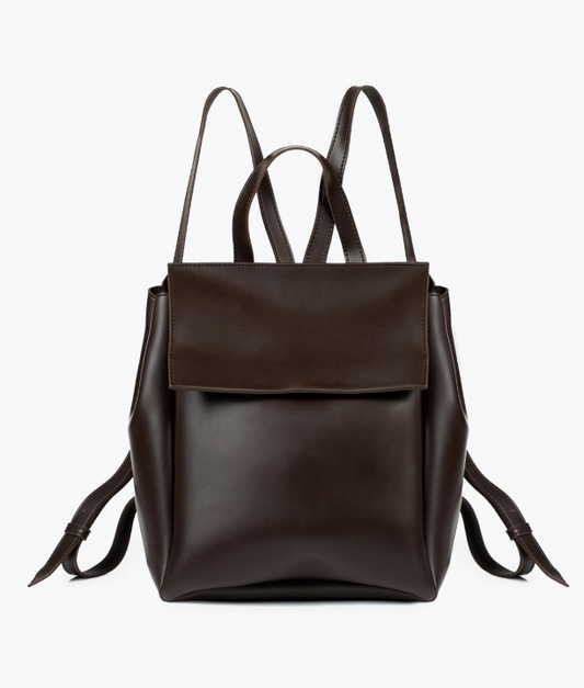 Brown Women Leather Backpacks 557