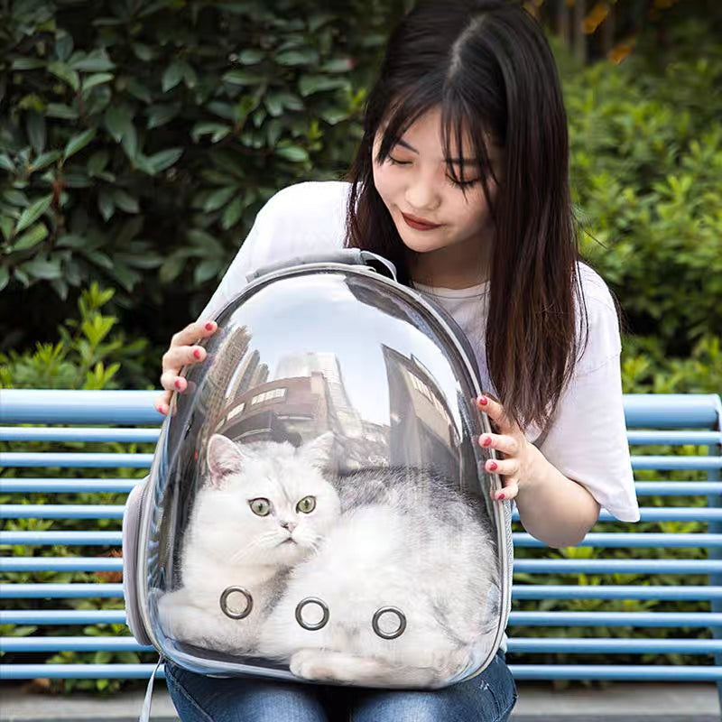 Green Cat & Dog bag was exposed pet bag dog out portable space capsule transparent backpack 4160